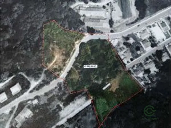 Spot image