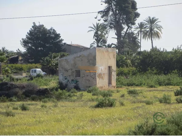 Spot image