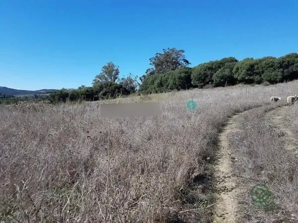 Finca rústica de 1,17 ha en venta en San roque, Cadiz