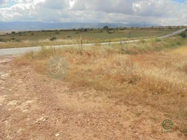 Spot image