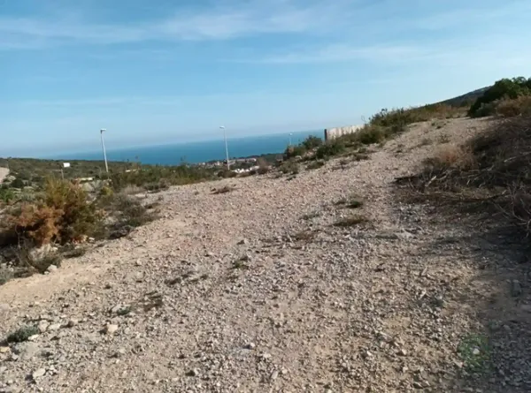Spot image