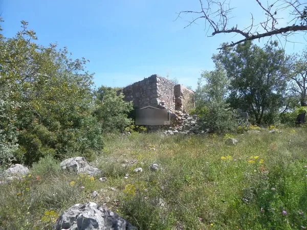 Spot image