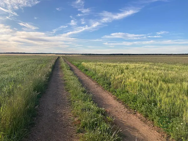 Finca agrícola de 120 ha en venta en Valladolid