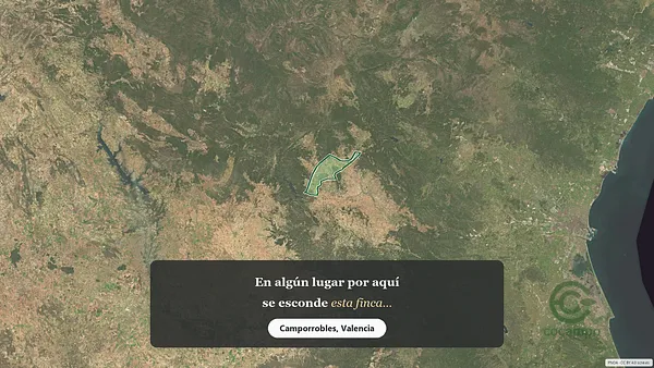 Spot image