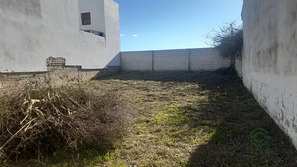 Spot image