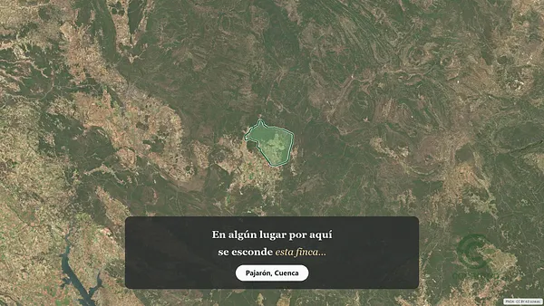Spot image