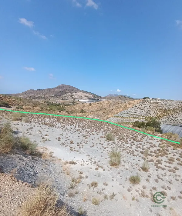 Spot image