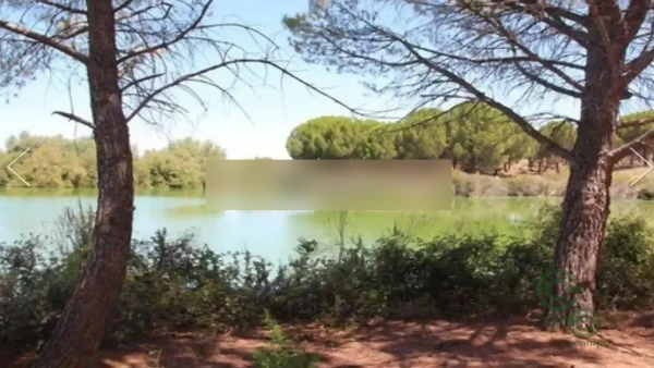 Finca rústica de 100 ha en venta en Nambroca, Toledo