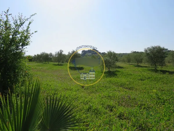 Spot image