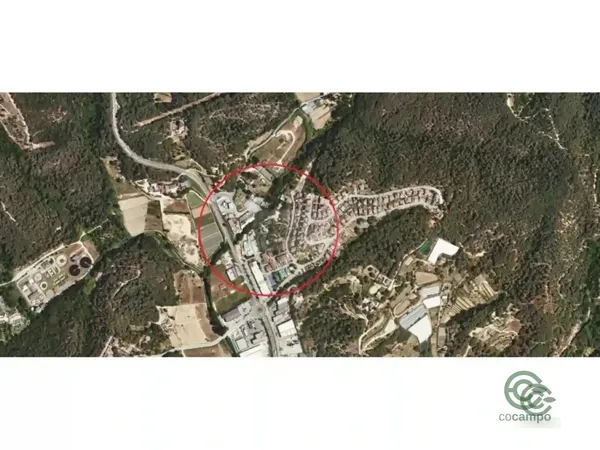 Spot image