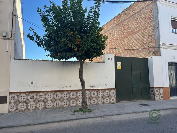 Spot image