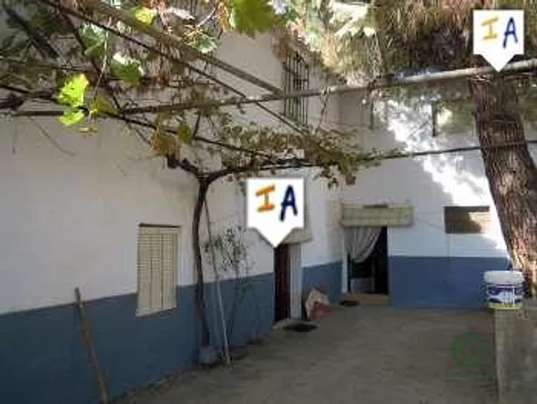 Spot image