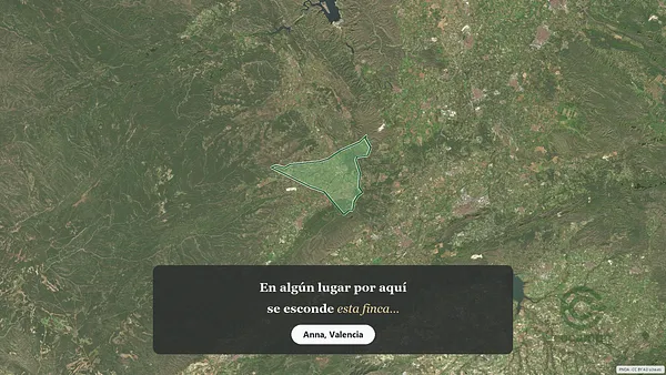 Spot image