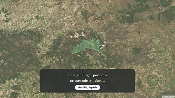Spot image