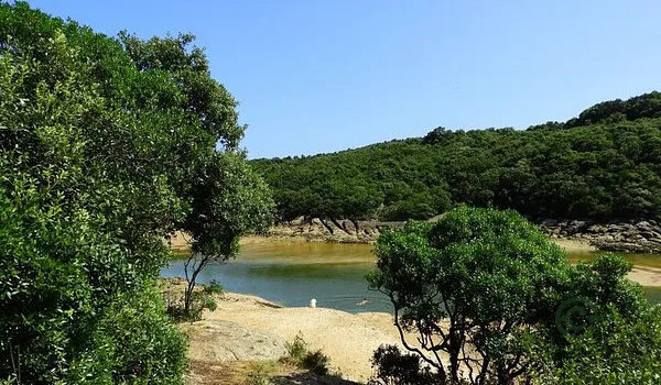 Spot image