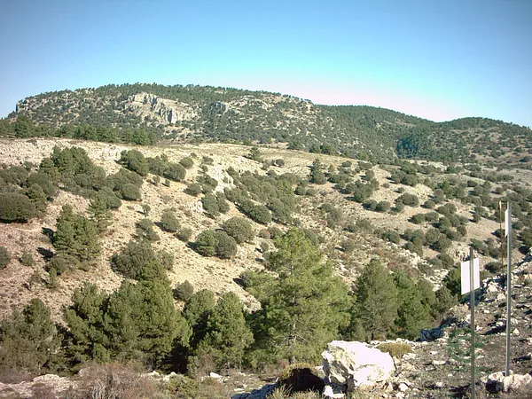 Spot image