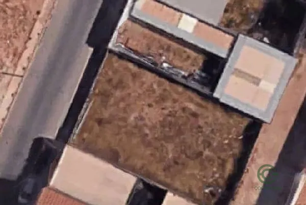 Spot image