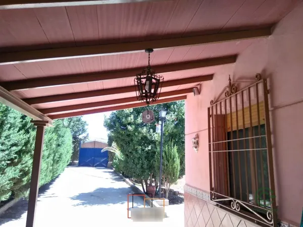 Spot image