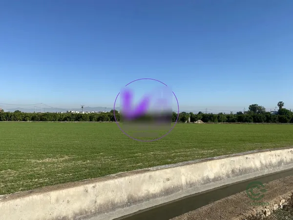 Spot image