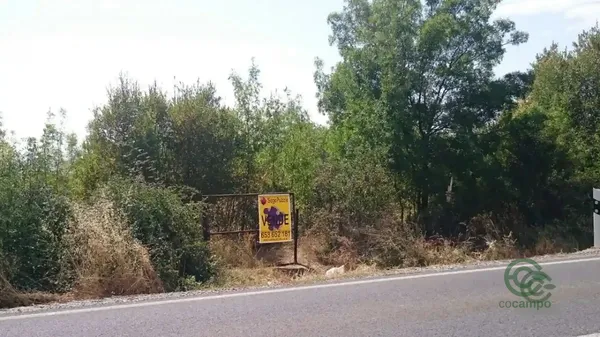 Finca rústica de 0,31 ha en venta en Palazuelos de eresma, Segovia