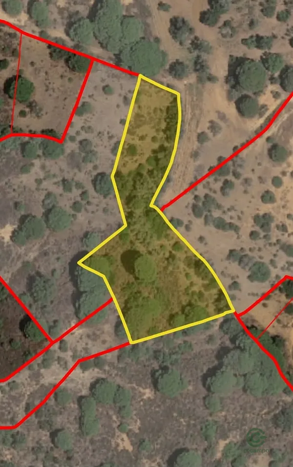 Spot image