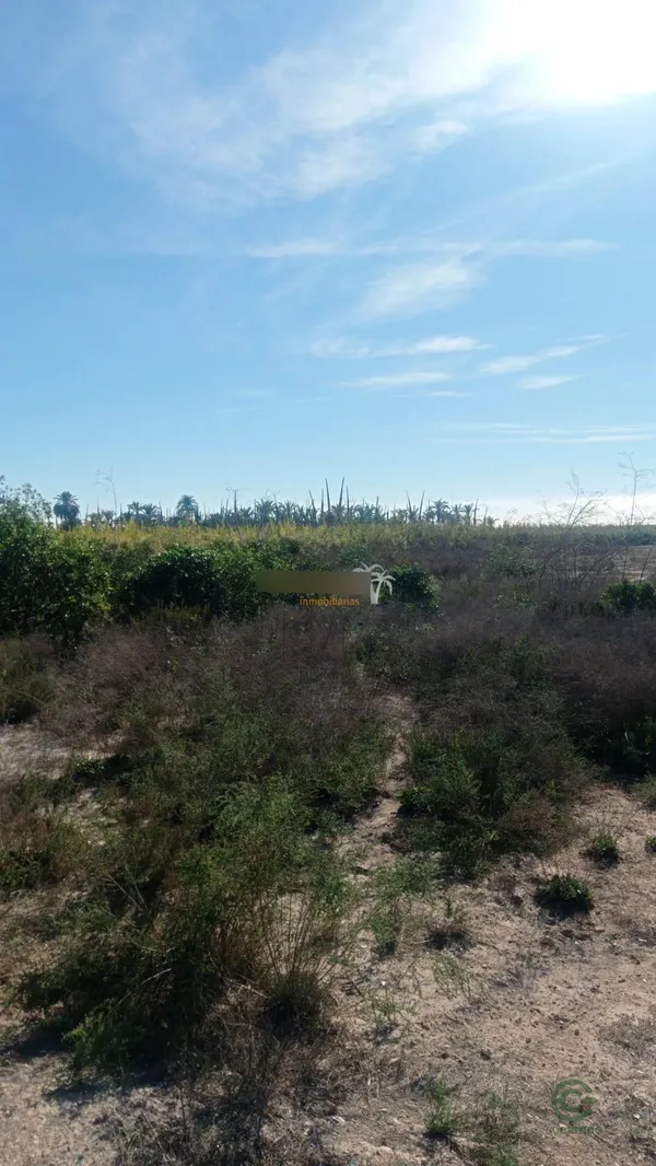 Spot image