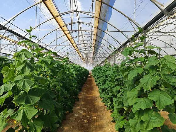 Finca agrícola de 0,016 ha en venta en Almería