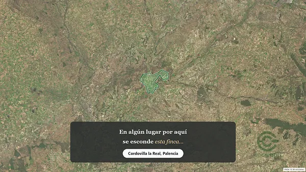 Spot image