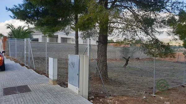Spot image