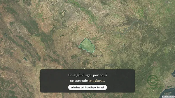 Spot image
