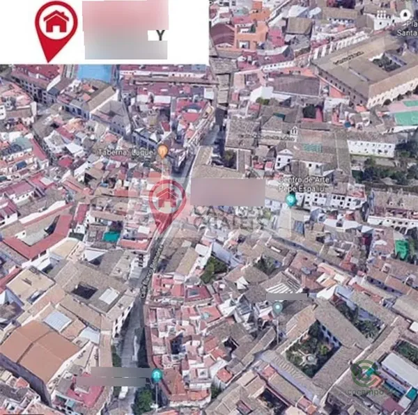 Spot image