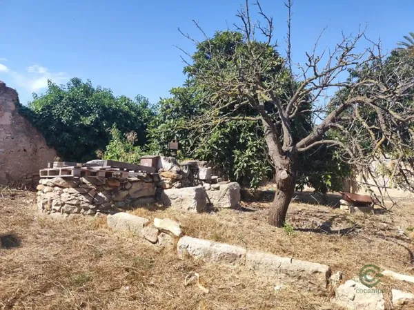 Terreno urbano de 0,1395 ha en venta en Ulldecona, Tarragona