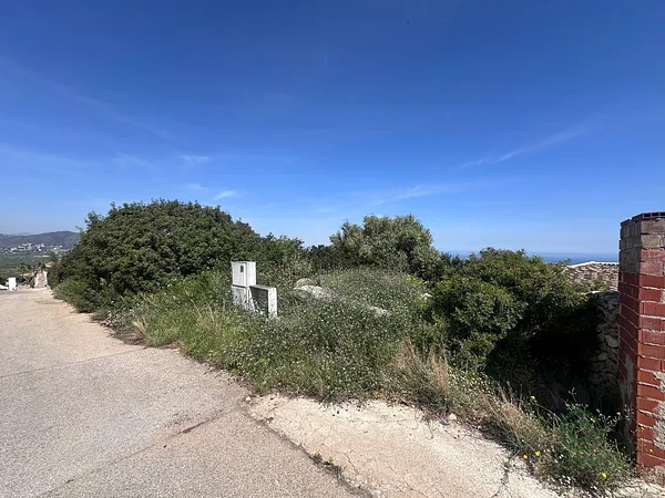 Spot image