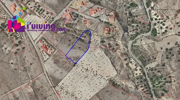 Spot image