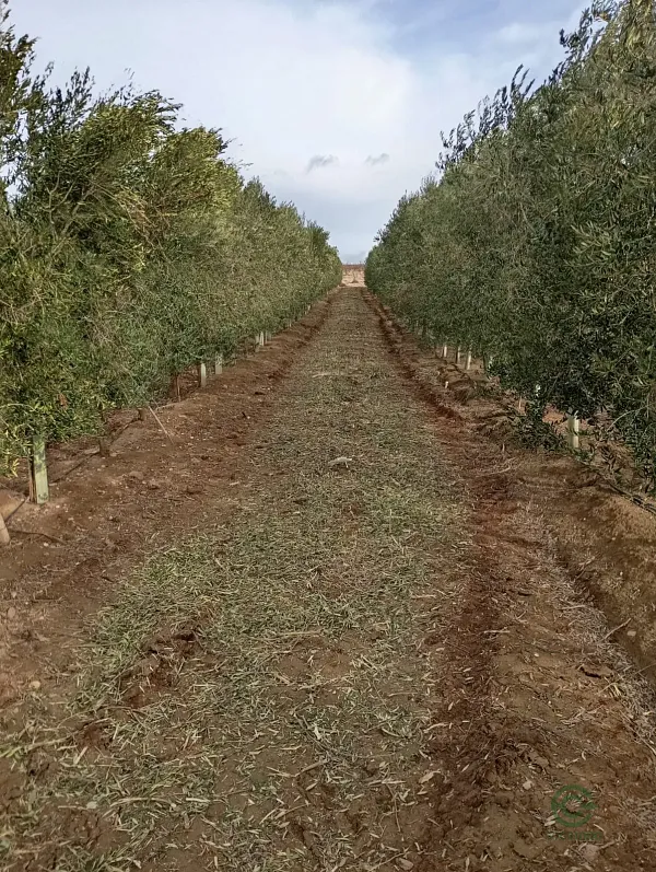 Finca agrícola de 21,5 ha en venta en Albacete