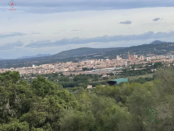Spot image
