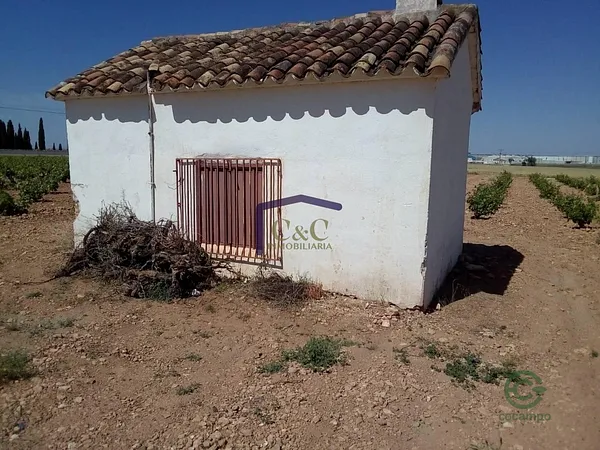 Spot image