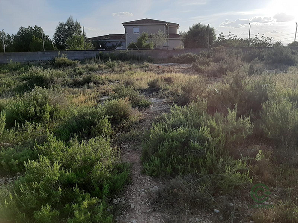 Spot image