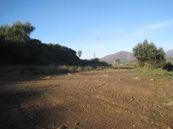Spot image