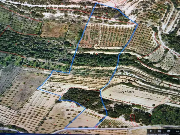Spot image
