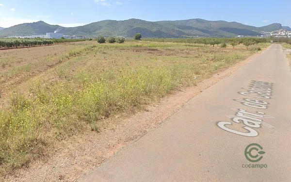 Spot image