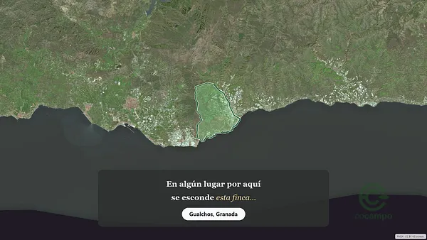 Spot image