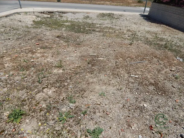 Spot image