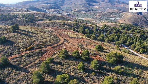 Spot image