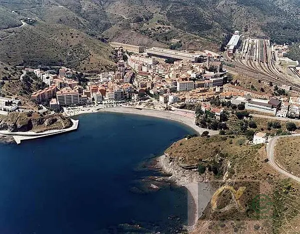 Spot image