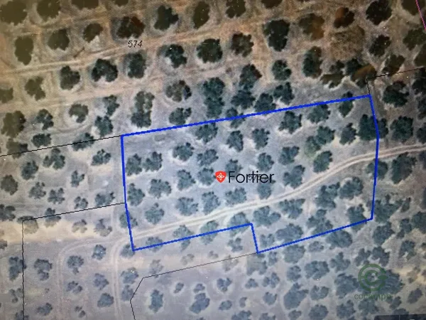 Spot image