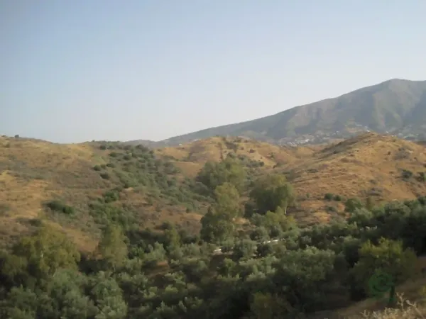 Spot image