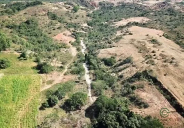Spot image