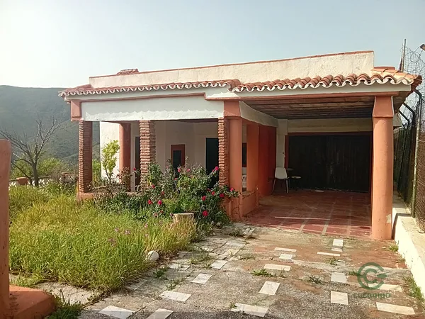 Spot image