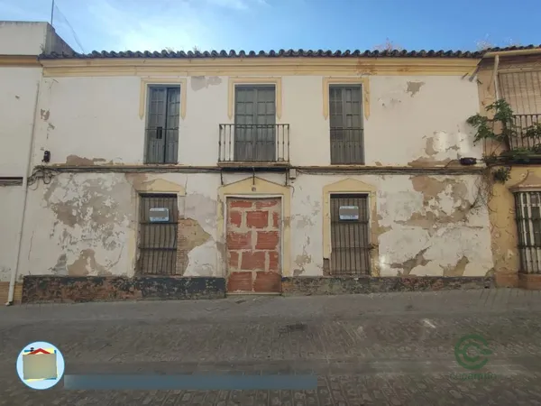 Spot image